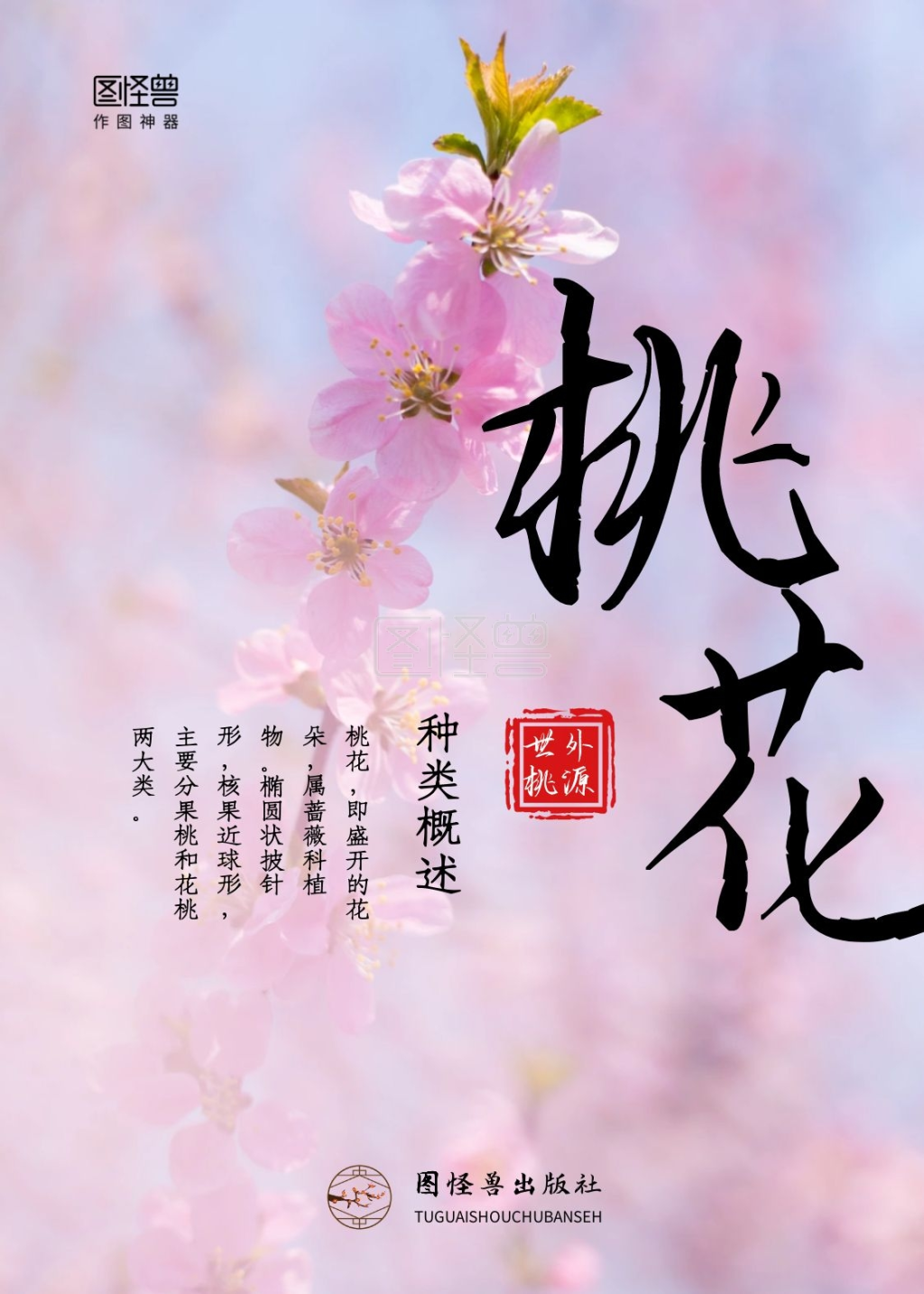 桃花粉色文学书籍封面