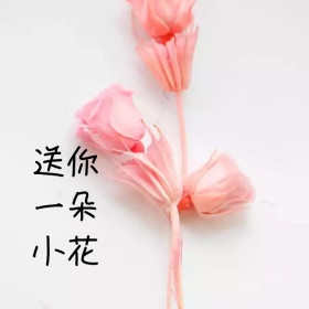 烂漫送你一朵小花手机微博封面模板