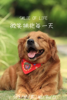 世界微笑日公众号配图