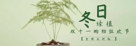绿植盆栽双十一淘宝促销简约直通车海报