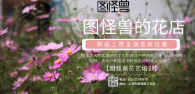 清新简约花居花艺促销横版海报
