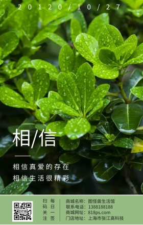 相信美好十月绿色树叶树枝日签
