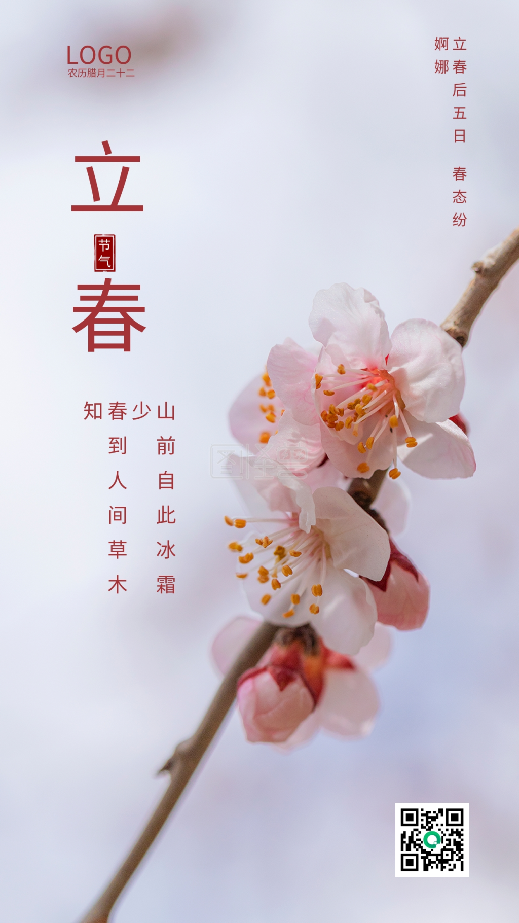 立春 梅花 粉色 节气海报 二十四节气