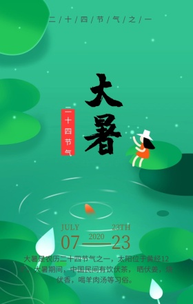 大暑传统二十四节气灰色简约手机海报