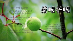 爱眼护眼手抄报