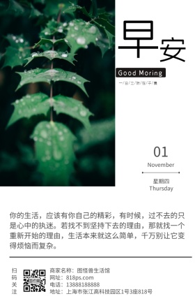绿色植物早安问候极简文艺简约日签