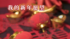 我的新年愿望电子小报