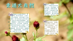 手抄报走进大自然