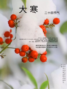 大寒节气介绍简约喷绘海报设计PSD模板