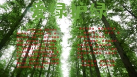 爱绿护绿手抄报卡通