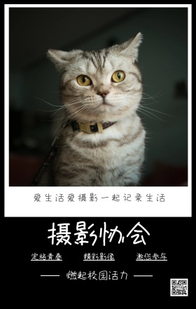 摄影协会 定格青春 精彩影像 邀您参与 燃起校园活力 爱生活爱摄影一起记录生活 摄影社团纳新简约手机海报