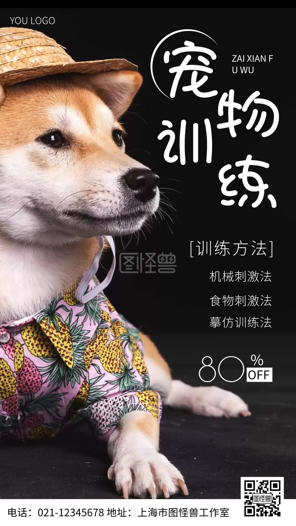 宠物训练绿色简约风摄影图海报