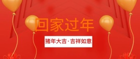回家过年