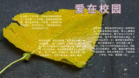 爱在校园电子板报