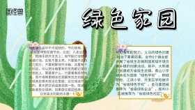 绿色家园手抄报