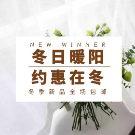 冬季上新女装淘宝促销简约直通车海报