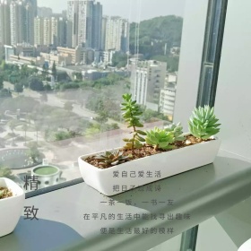 灰色摄影精致家具促销公众号配图