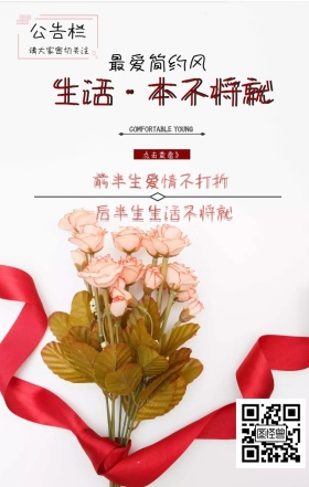 蝴蝶粉红小梅花不将就简约海报