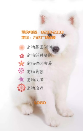 宠物寄养美容洗澡狗猫中性灰大气手机海报