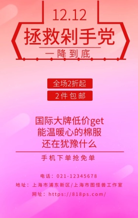 双十二拯救剁手党海报
