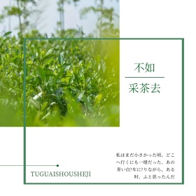 绿色小清新夏日采茶姑娘公众号配图