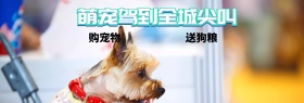 红色搞怪宠物淘宝电商banner