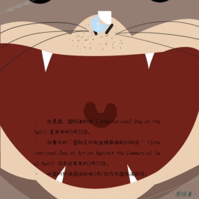 2018国际海豹日创意公众号配图