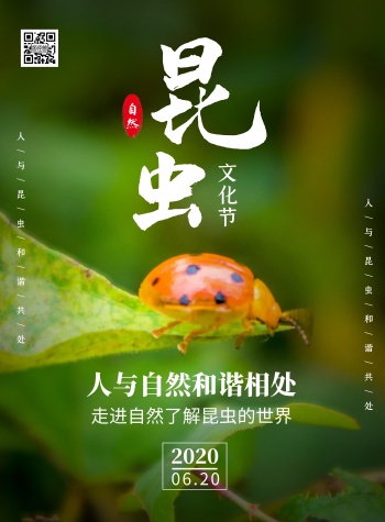 简约创意大气摄影风绿色昆虫文化节宣传海报