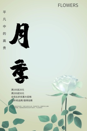 粉色背景简约大气美丽月季促销海报