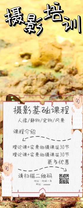 摄影基础培训教育课程手机营销长图