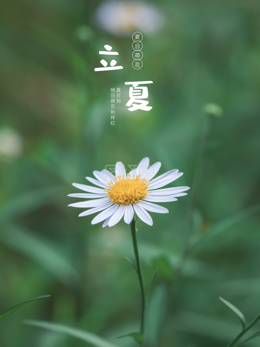 清爽夏天二十四节气立夏