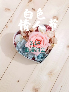 白色情人节手绘海报