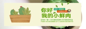 灰色小清新多肉绿植盆电商海报banner淘宝海报
