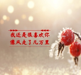 旧情爱情风自由可爱韩系