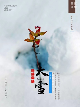 传统简约大气24节气之大雪