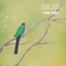 蓝色乌龟手机微博封面
