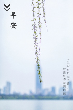 早安正能量语录小清新公众号配图