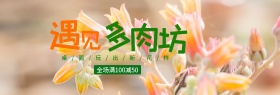 小清新手绘绿植遇见多肉坊淘宝海报banner电商
