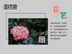 职业技能培训花艺培训班简约公众号配图
