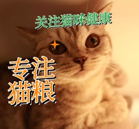 可爱猫咪猫粮宠物食品朋友圈封面配图