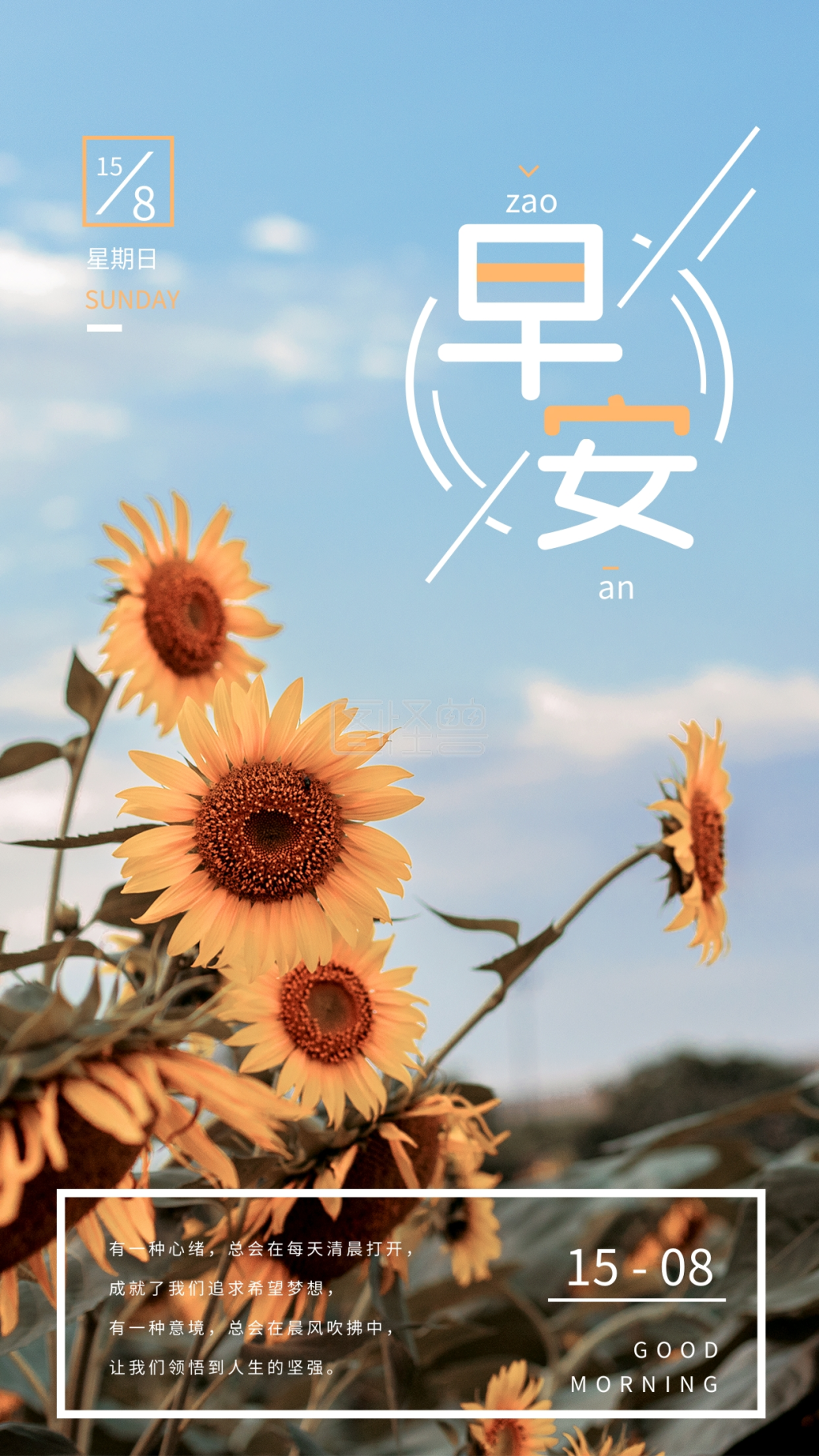 向日葵你好早安问候海报