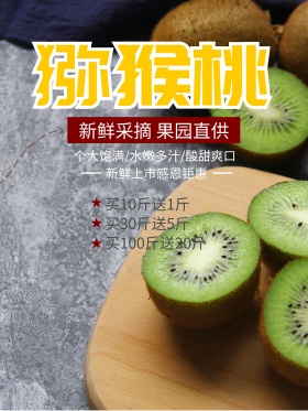 时尚简约清新猕猴桃水果宣传促销海报