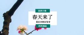 春天来了 阵阵细雨 滋润大地 花在开树在发芽 春季春天你好公众号封面