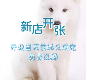 萌宠宠物可爱动物朋友圈封面