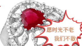 愿时光不老公众号封面