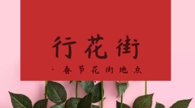 春节花街公众号封面