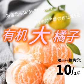 淘宝天猫生鲜果蔬双十一主图直通车图