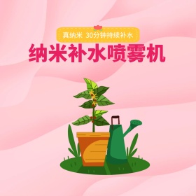 电商淘宝天猫喷雾补水仪主图直通车钻展玫瑰美容模板