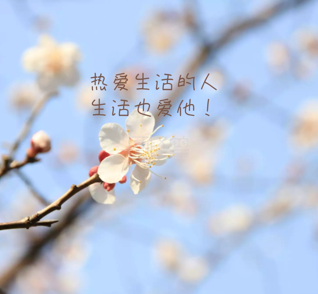 风景唯美朋友圈封面图