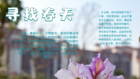 创意卡通扁平简约寻找春天手抄报海报